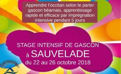 Stage intensif de gascon à Sauvelade