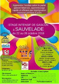 Stage intensif de gascon à Sauvelade