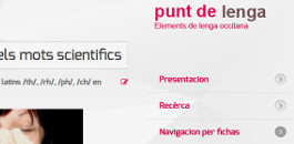 Punt de lenga