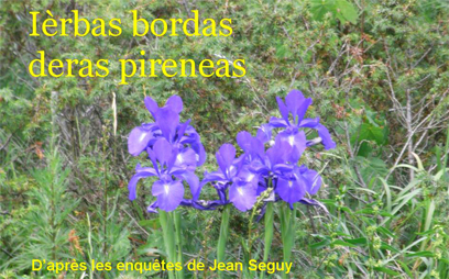 Ièrbas bordas deras Pireneas