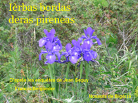 Ièrbas bordas deras Pireneas