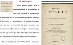 Glossaire botanique languedocien, français, latin de l'arrondissement de Saint-Pons (Hérault)